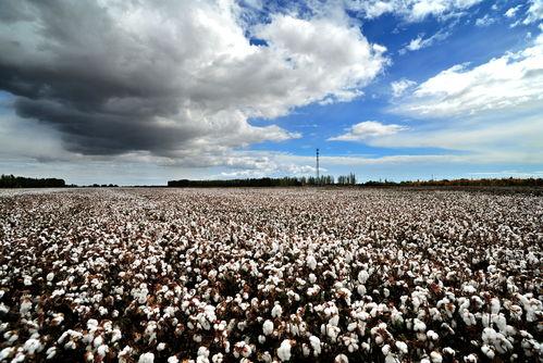九九国产热,揭秘国产影视产业的崛起与魅力 第3张 九九国产热,揭秘国产影视产业的崛起与魅力 第3张