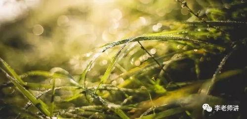 青青国产草视频 第2张 青青国产草视频 第2张