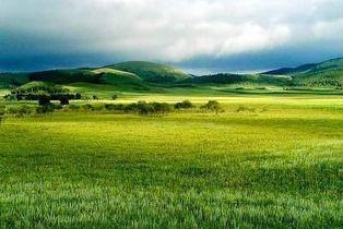 青草原国产,探寻神秘草原帝国的历史足迹 第3张 青草原国产,探寻神秘草原帝国的历史足迹 第3张